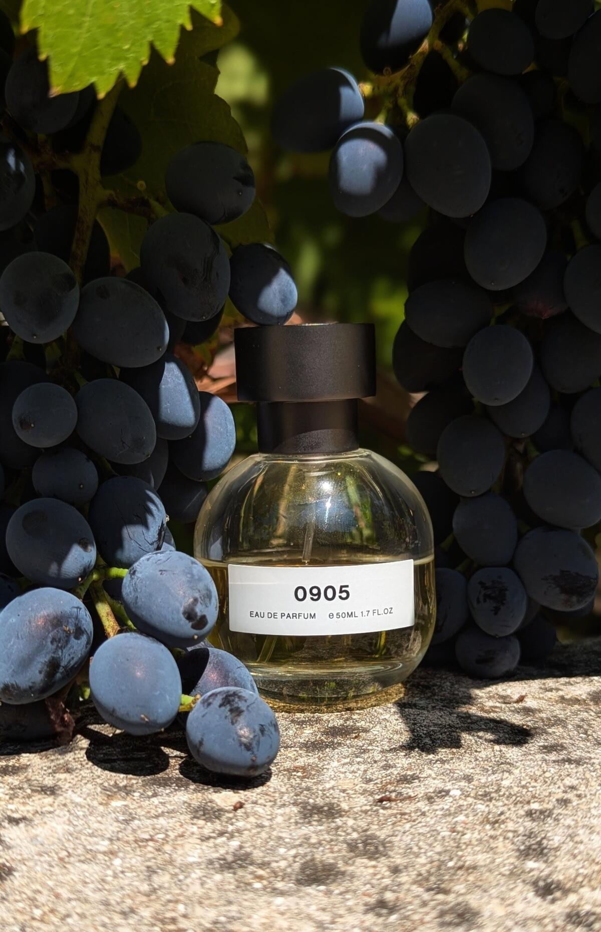 عطر ادکلن صفر نهصد و پنج سان ونین - 0905 Son Venïn - بررسی، قیمت و خرید