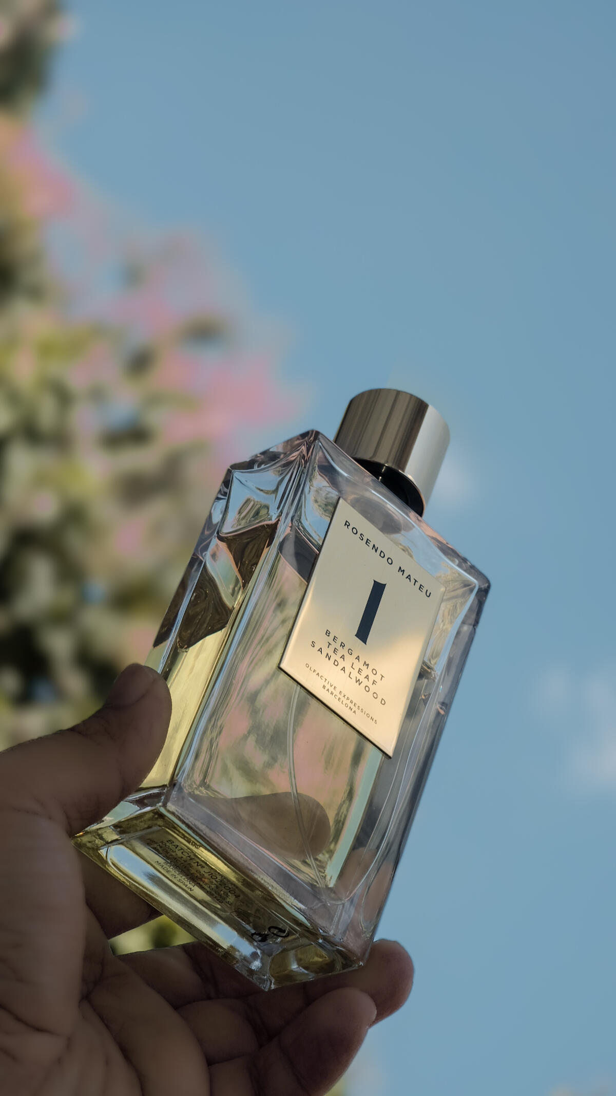 عطر ادکلن رزن دو ماتئو نامبر وان برگاموت، تی‌لیف، سندلوود روسندو ماتیو اولفکتیو اکسپرشنز - Rosendo Mateu Nº 1 Bergamot, Tea Leaf, Sandalwood Rosendo Mateu Olfactive Expressions - بررسی، قیمت و خرید