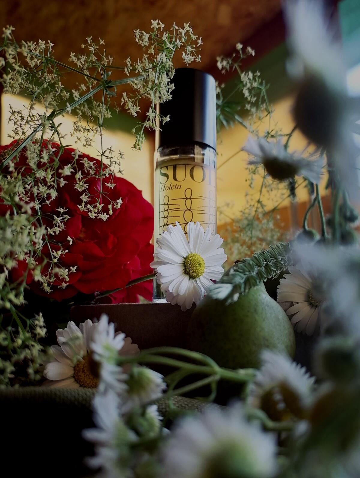 عطر ادکلن هولتا سوئل پرفیومز - Holeta Suol Perfumes - بررسی، قیمت و خرید