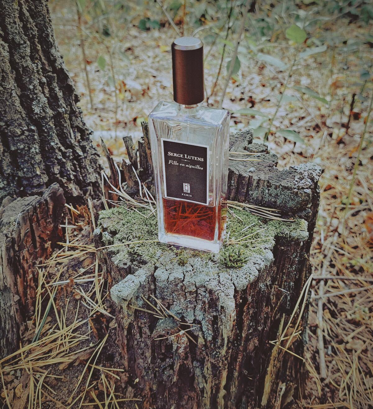 عطر ادکلن فی ان آگوی سرژ لوتنز - Fille en Aiguilles Serge Lutens - بررسی، قیمت و خرید