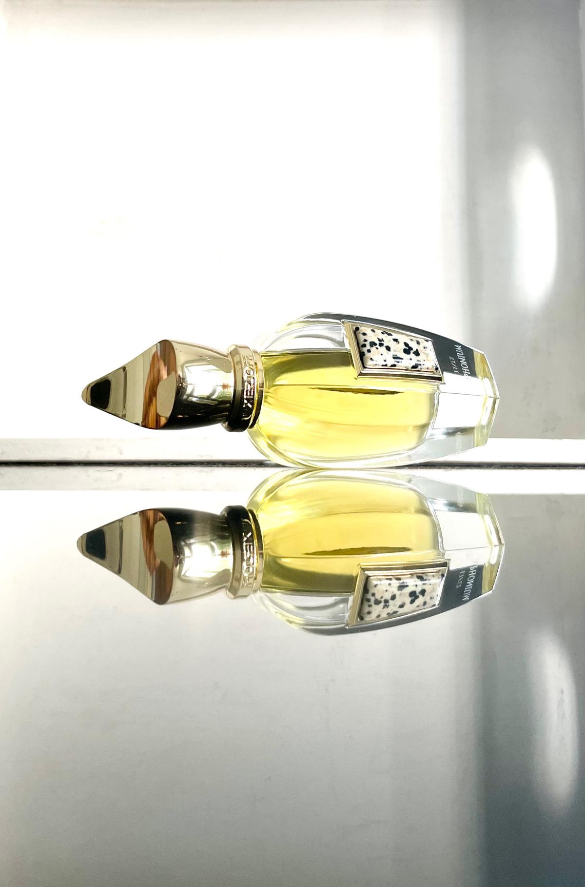 عطر ادکلن سیمفونیوم پارفوم زرژاف - Symphonium Parfum Xerjoff - بررسی، قیمت و خرید