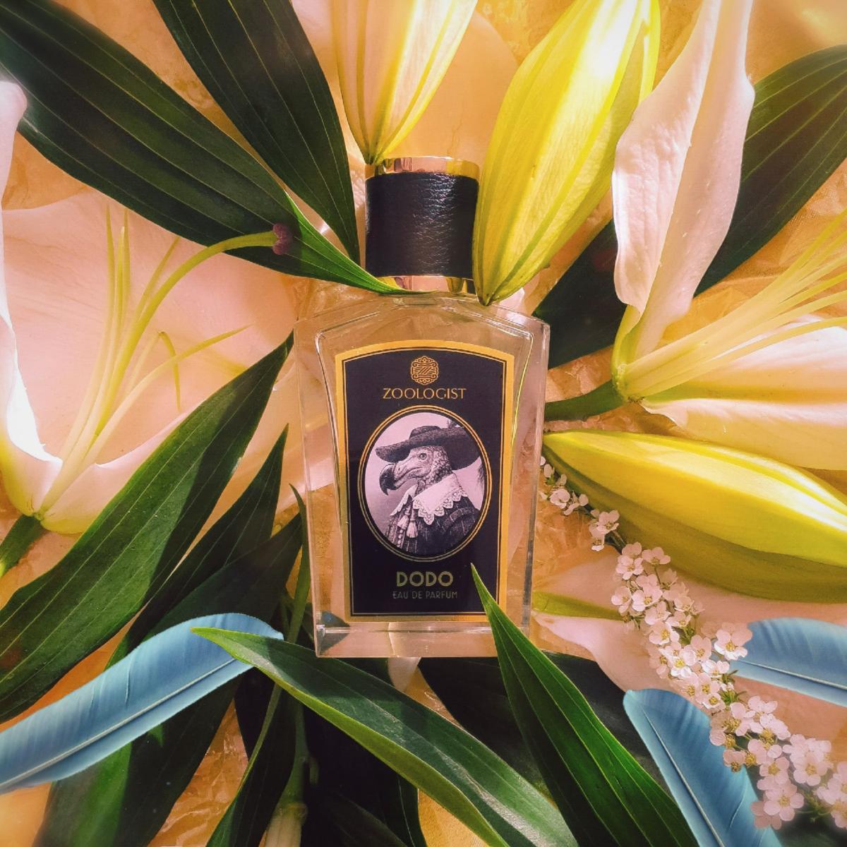 عطر ادکلن دودو زئولوژیست پرفیومز - Dodo Zoologist Perfumes - بررسی، قیمت و خرید