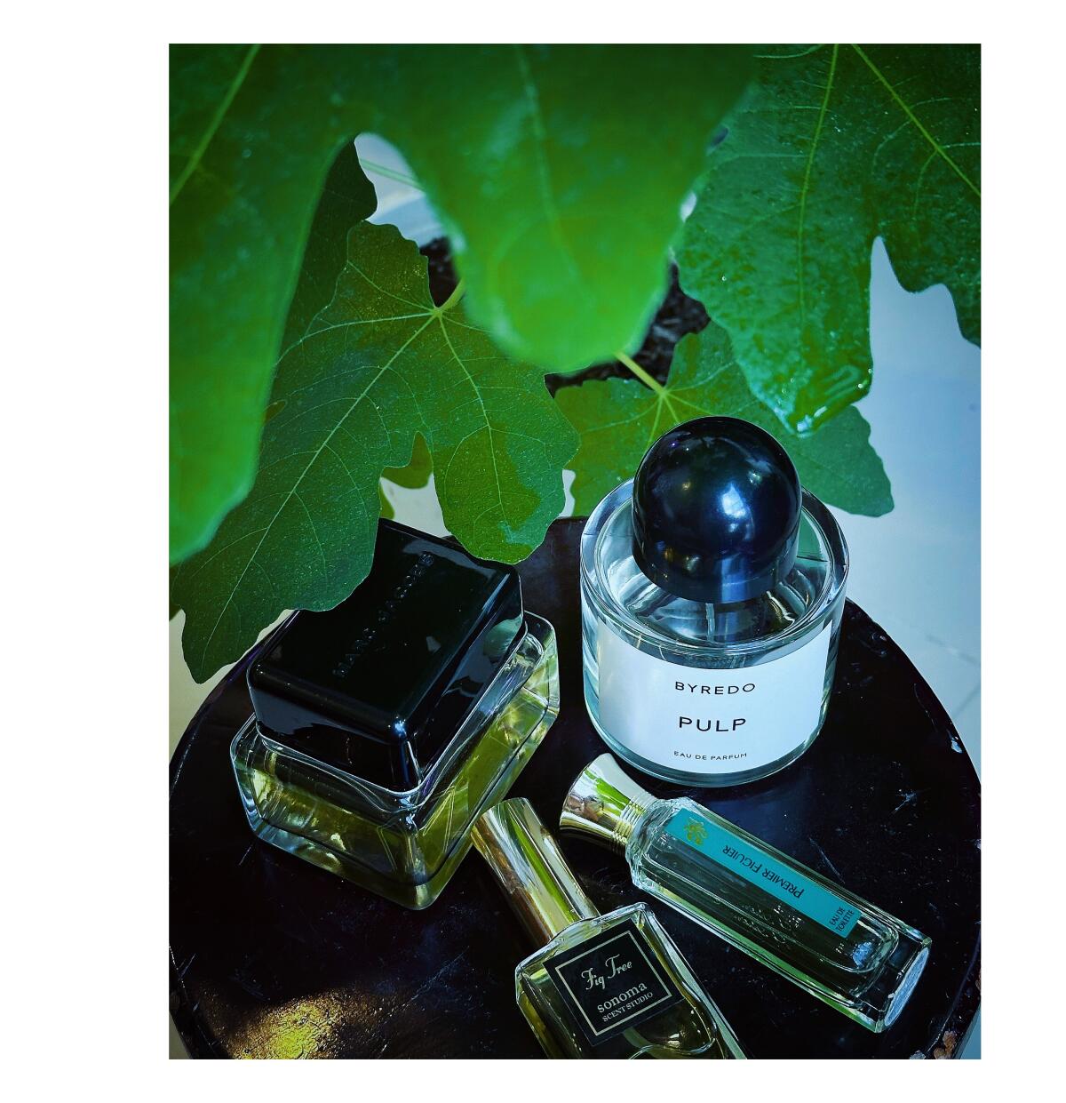 عطر ادکلن فیگ تری سونوما سنت استودیو - Fig Tree Sonoma Scent Studio - بررسی، قیمت و خرید