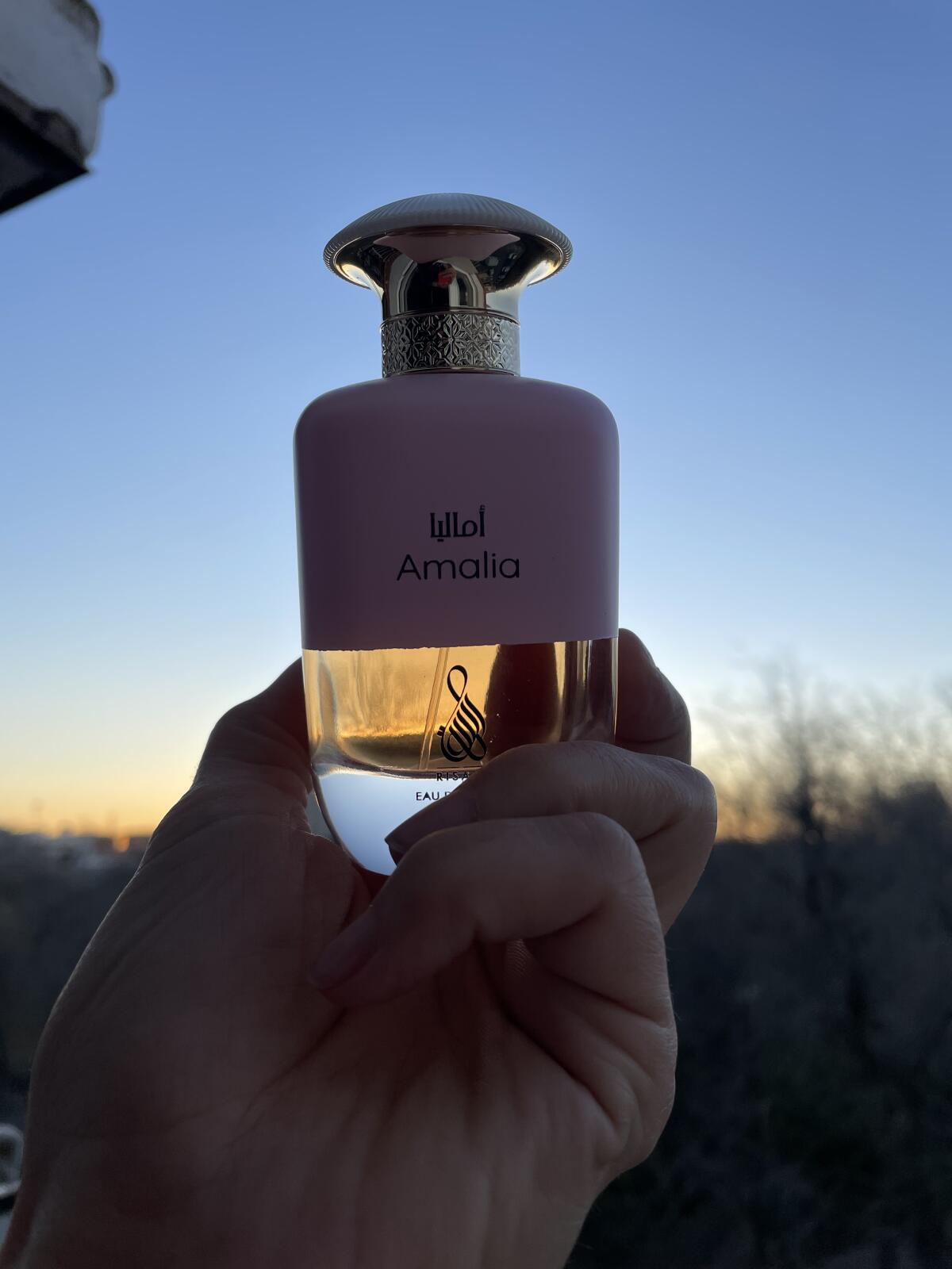 عطر ادکلن امالیا رساله - Amalia Risala - بررسی، قیمت و خرید