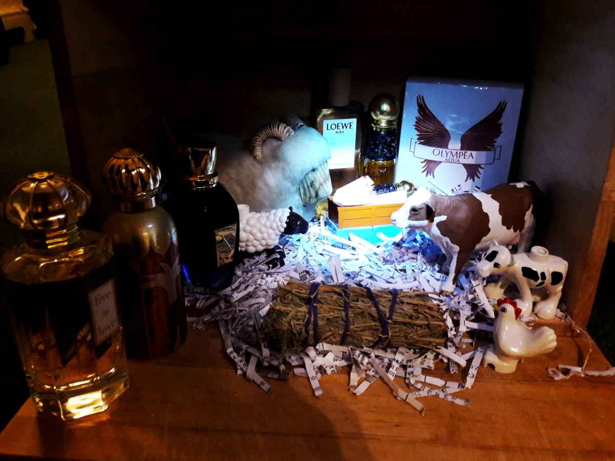 عطر ادکلن لوه آورا وایت مگنولیا لوئوه - Loewe Aura White Magnolia Loewe - بررسی، قیمت و خرید