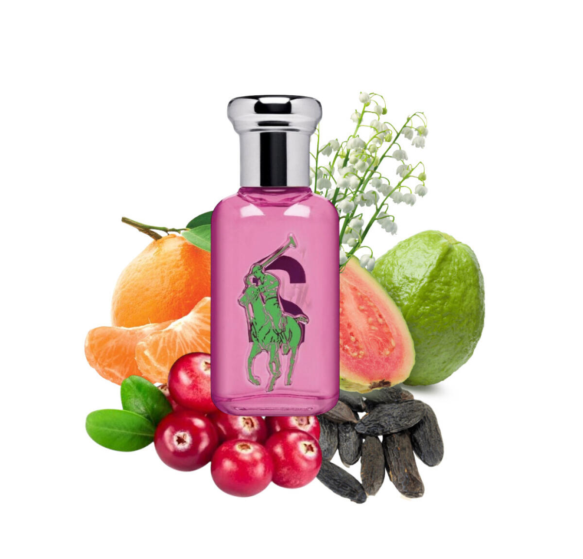 عطر ادکلن بیگ پونی ۲ فور وومن رالف لورن - Big Pony 2 for Women Ralph Lauren - بررسی، قیمت و خرید