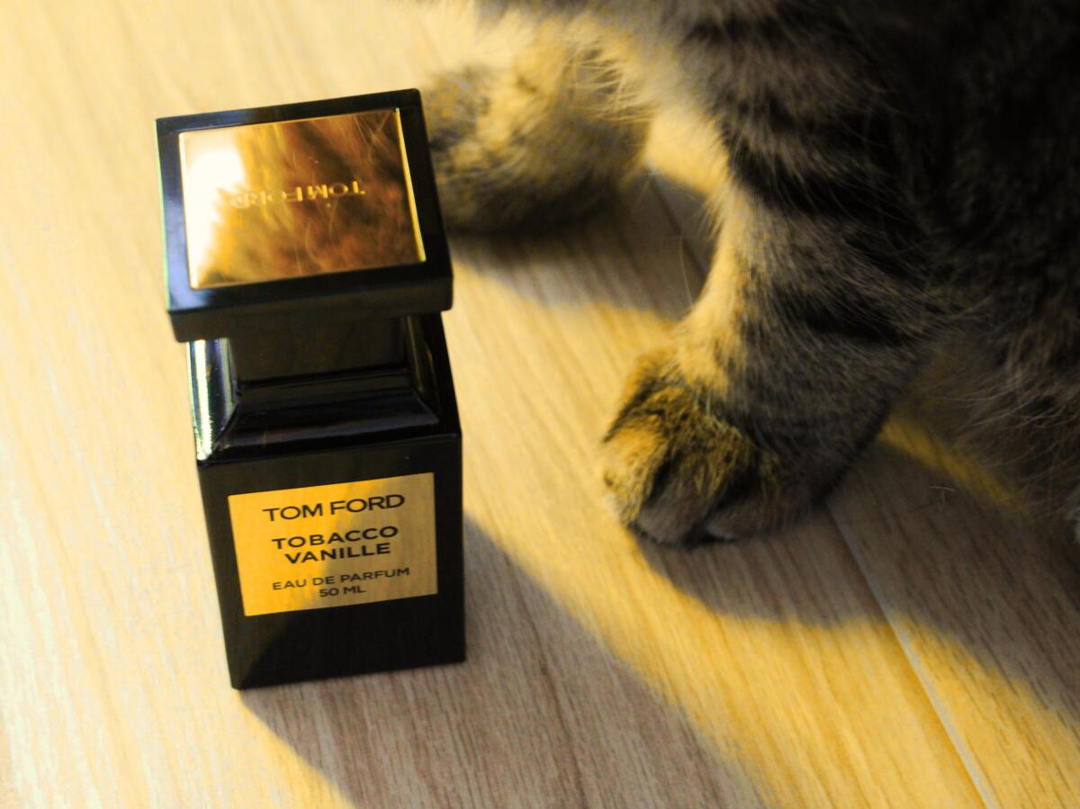 عطر ادکلن توباکو وانیل تام فورد - Tobacco Vanille Tom Ford - بررسی، قیمت و خرید