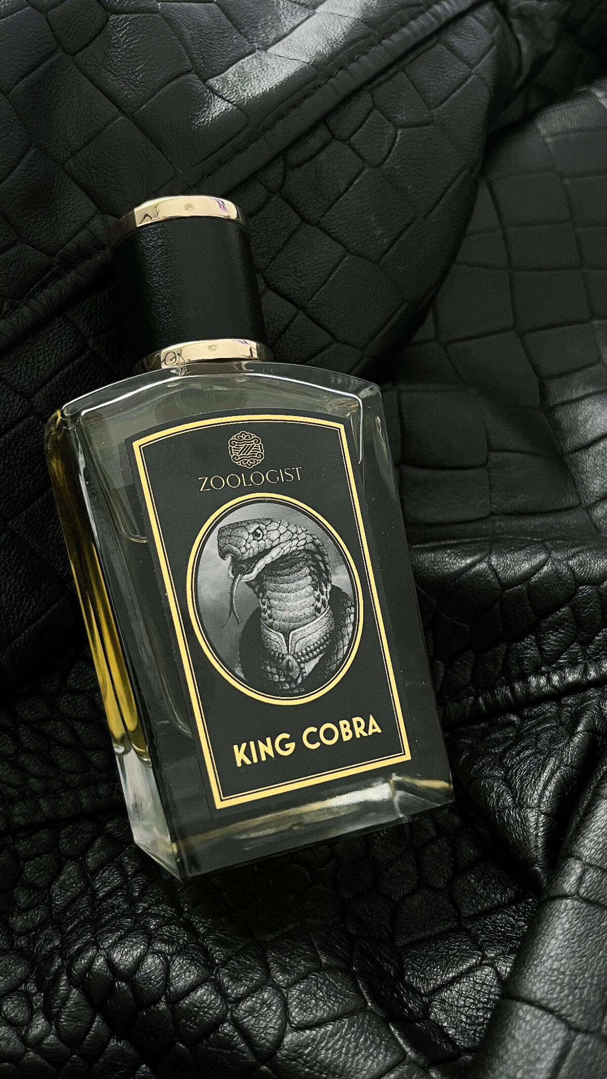 عطر ادکلن کینگ کبرا زولوجیست پرفیومز - King Cobra Zoologist Perfumes - بررسی، قیمت و خرید