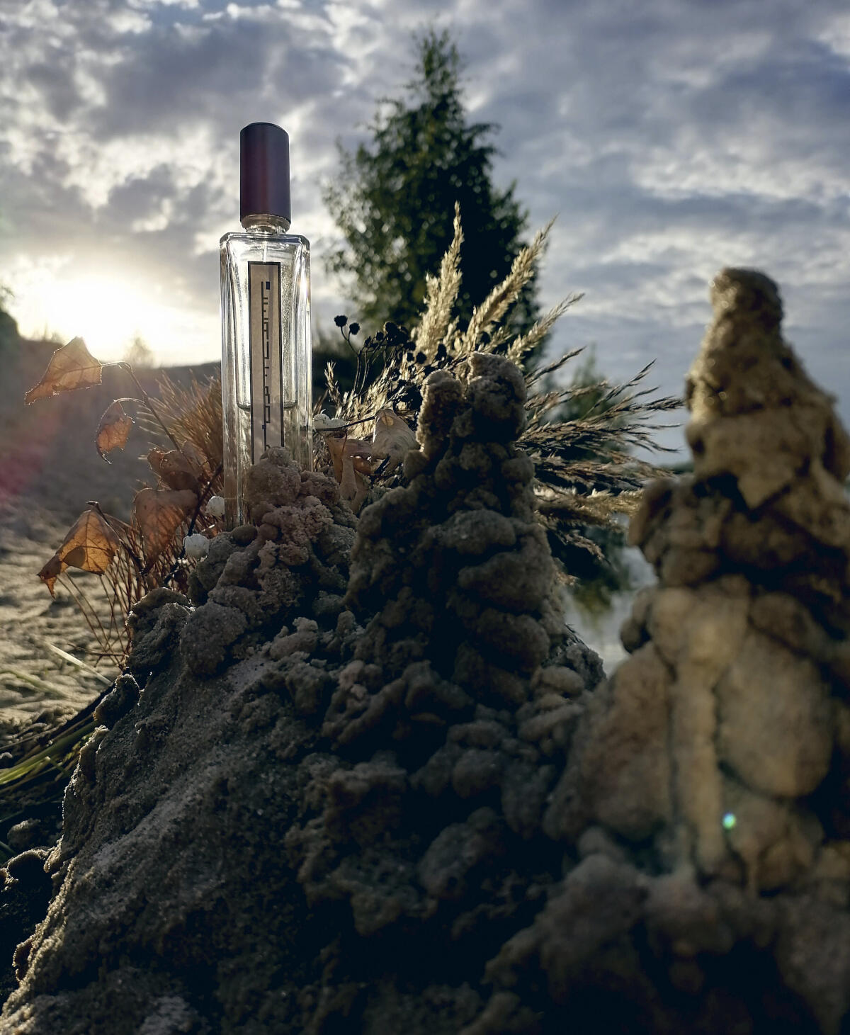 عطر ادکلن لو فغوید سرج لوتانس - L'Eau Froide Serge Lutens - بررسی، قیمت و خرید