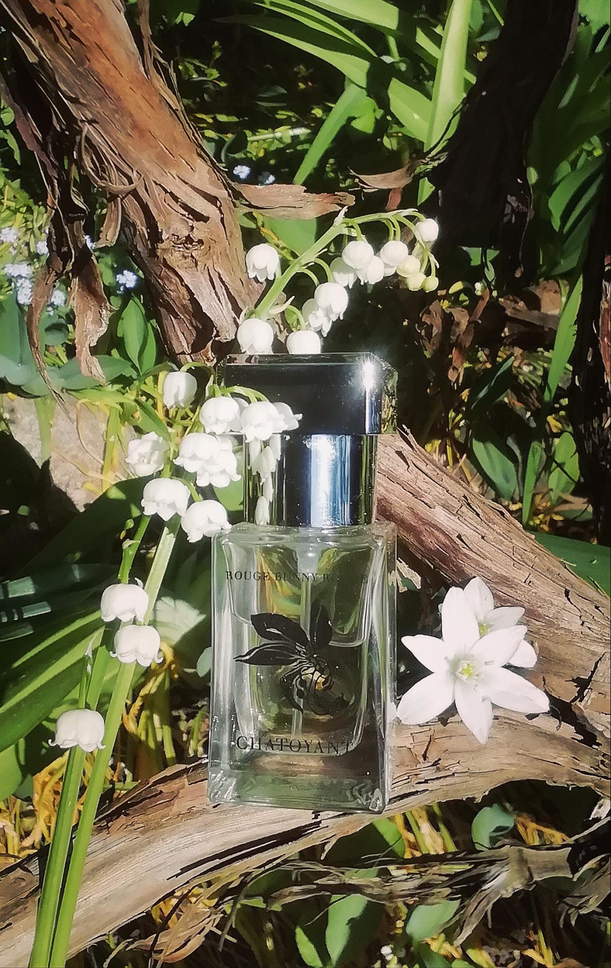 عطر ادکلن چاتویانت روج بانی روج - Chatoyant Rouge Bunny Rouge - بررسی، قیمت و خرید