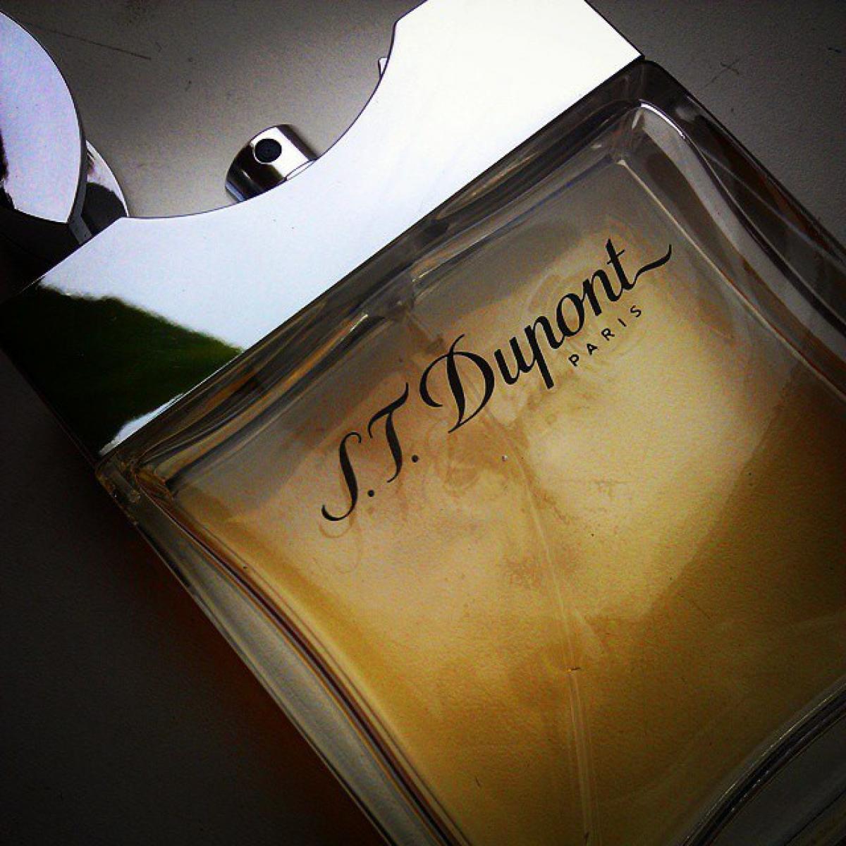 عطر ادکلن دوپونت پور اُم دوپونت - S.T. Dupont pour Homme S.T. Dupont - بررسی، قیمت و خرید