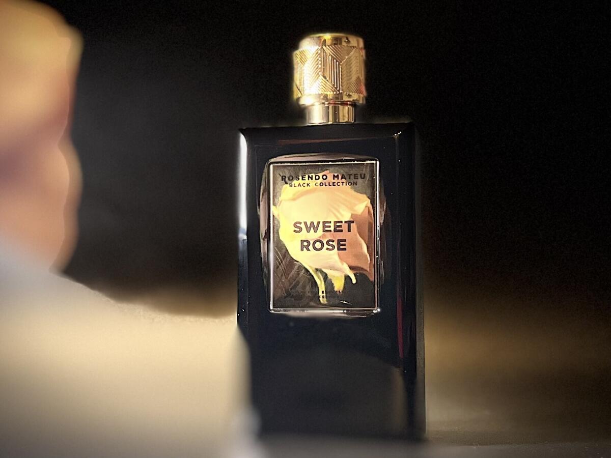 عطر ادکلن سوییت رز رزندو ماتو اولفکتیو اکسپرشنز - Sweet Rose Rosendo Mateu Olfactive Expressions - بررسی، قیمت و خرید