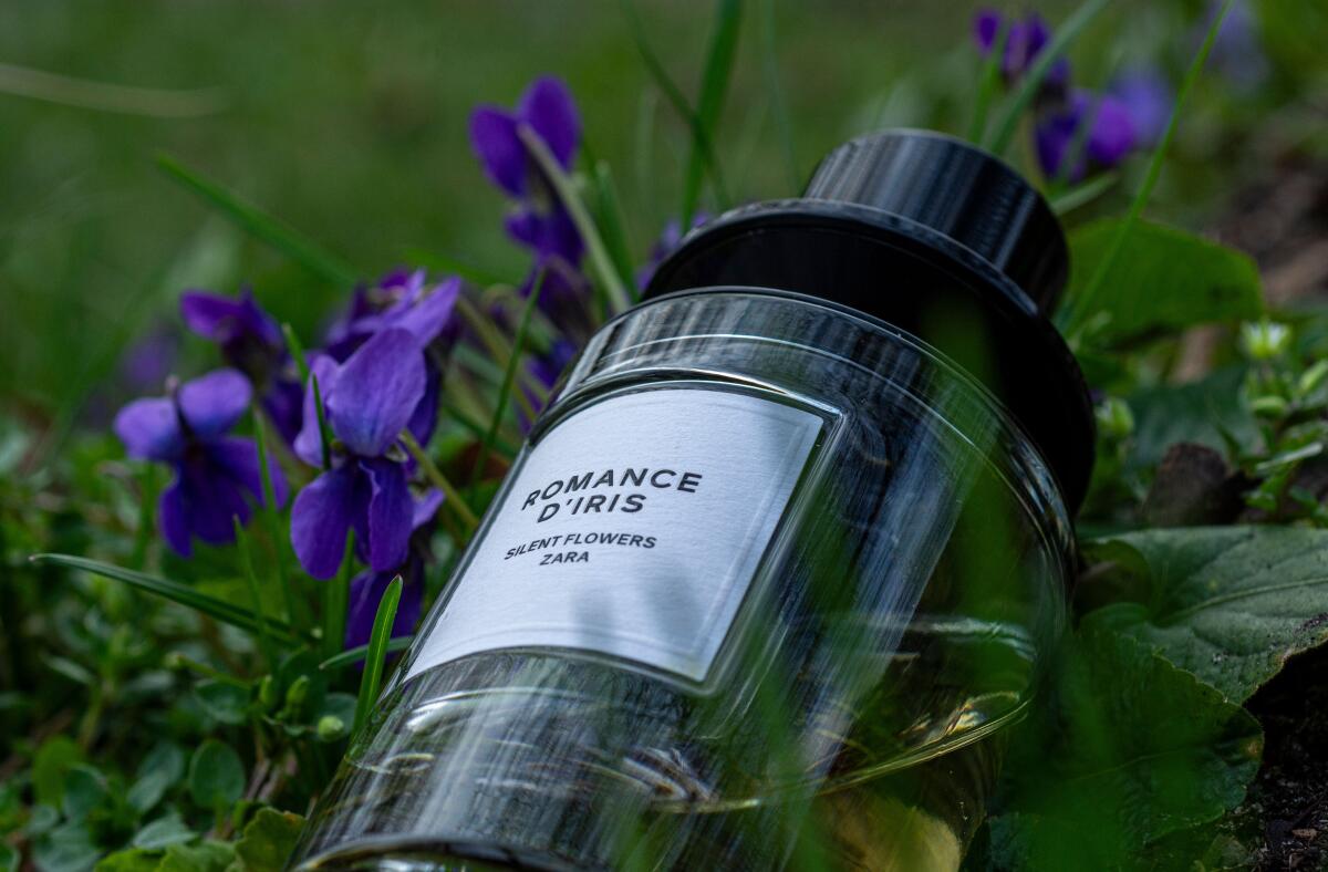 عطر ادکلن رومنس دی ایریس زارا - Romance d'Iris Zara - بررسی، قیمت و خرید