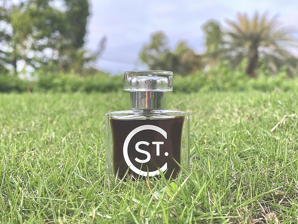 عطر ادکلن فرست کات سنت کلر سنتس - First Cut St. Clair Scents - بررسی، قیمت و خرید