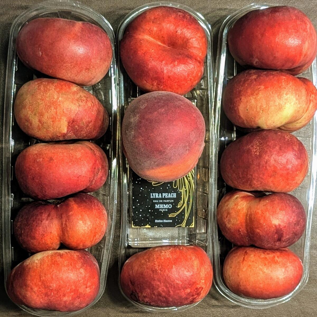 عطر ادکلن لایرا پیچ - Lyra Peach Memo Paris - بررسی، قیمت و خرید