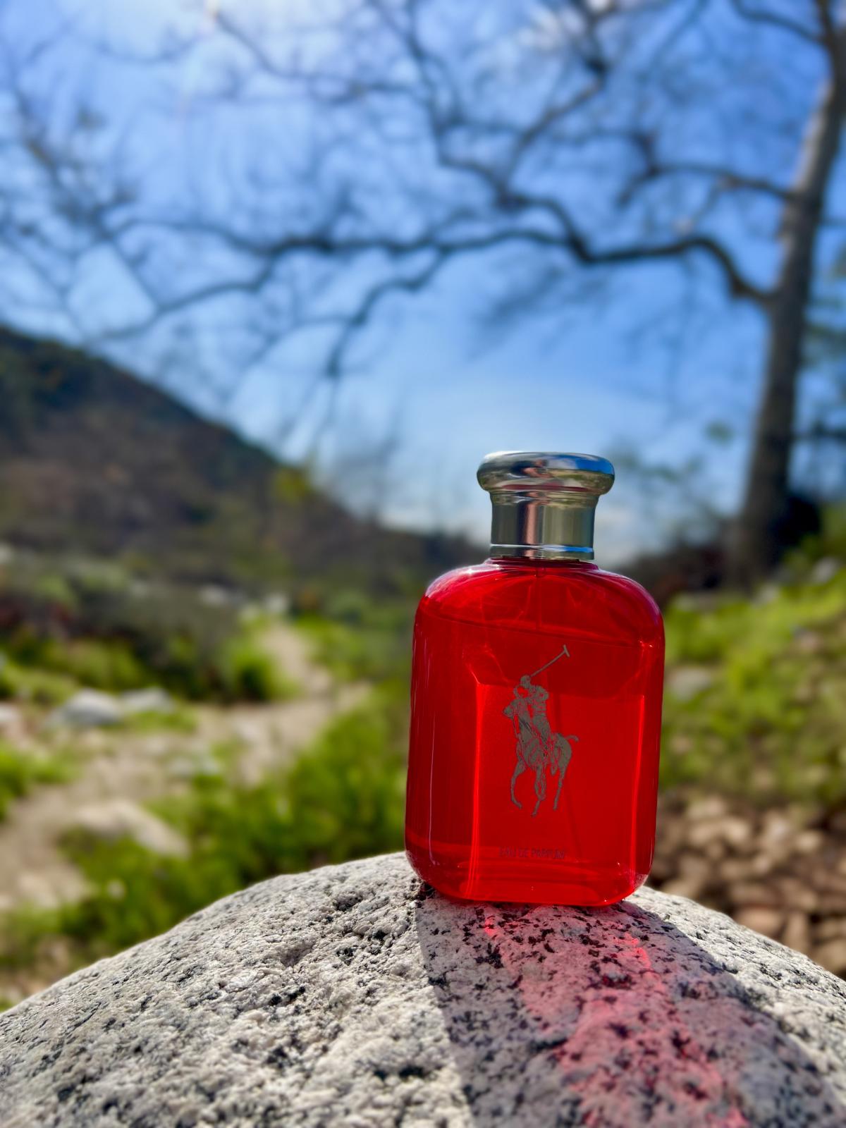 عطر ادکلن پولو رد او دو پرفیوم رالف لورن - Polo Red Eau de Parfum Ralph Lauren - بررسی، قیمت و خرید