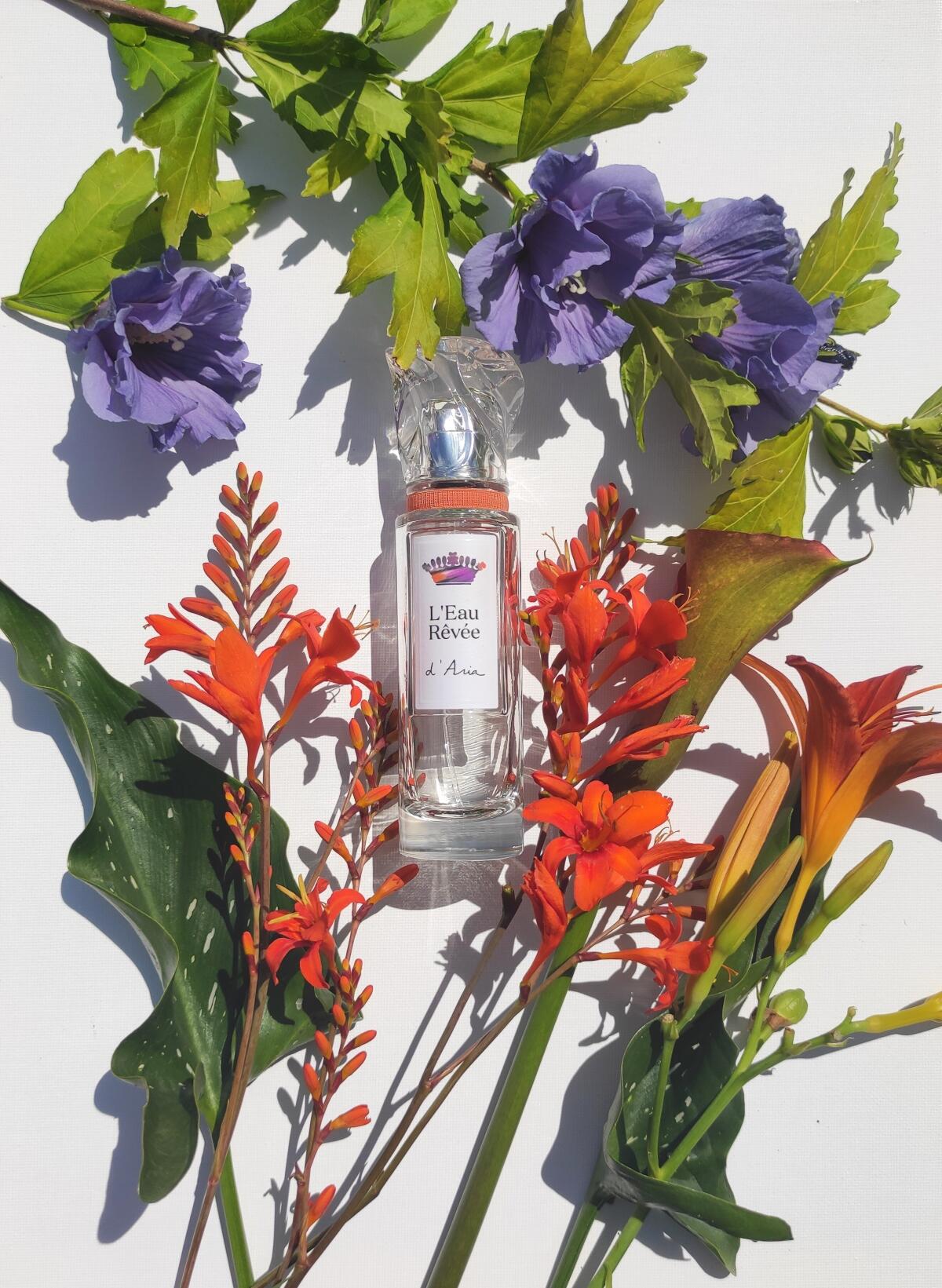 عطر ادکلن لئو رِوه دِ آریا سیسلی - L'Eau Rêvée D'Aria Sisley - بررسی، قیمت و خرید