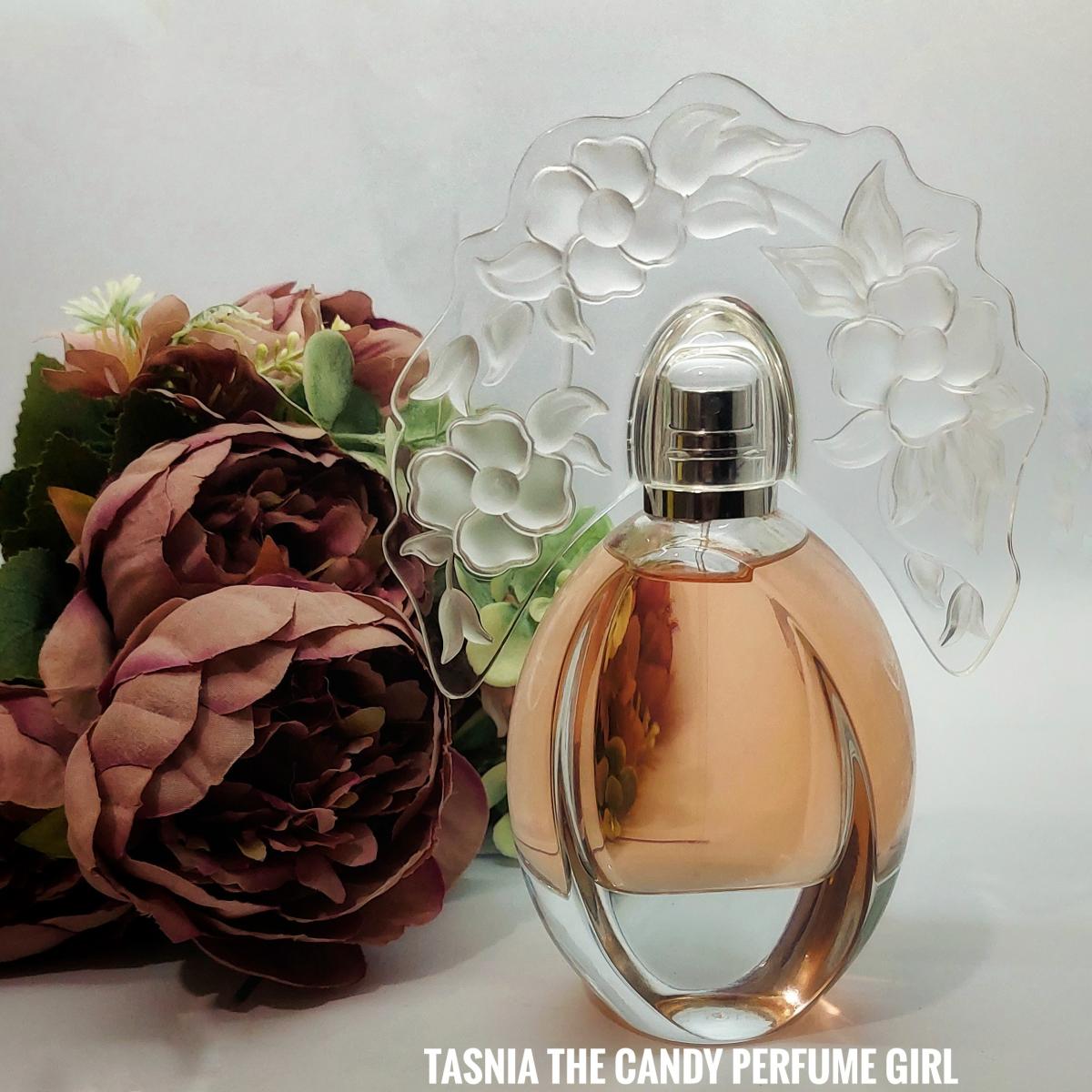 عطر ادکلن وان دی این پرووانس ریانه تردیشن - One Day In Provence Reyane Tradition - بررسی، قیمت و خرید