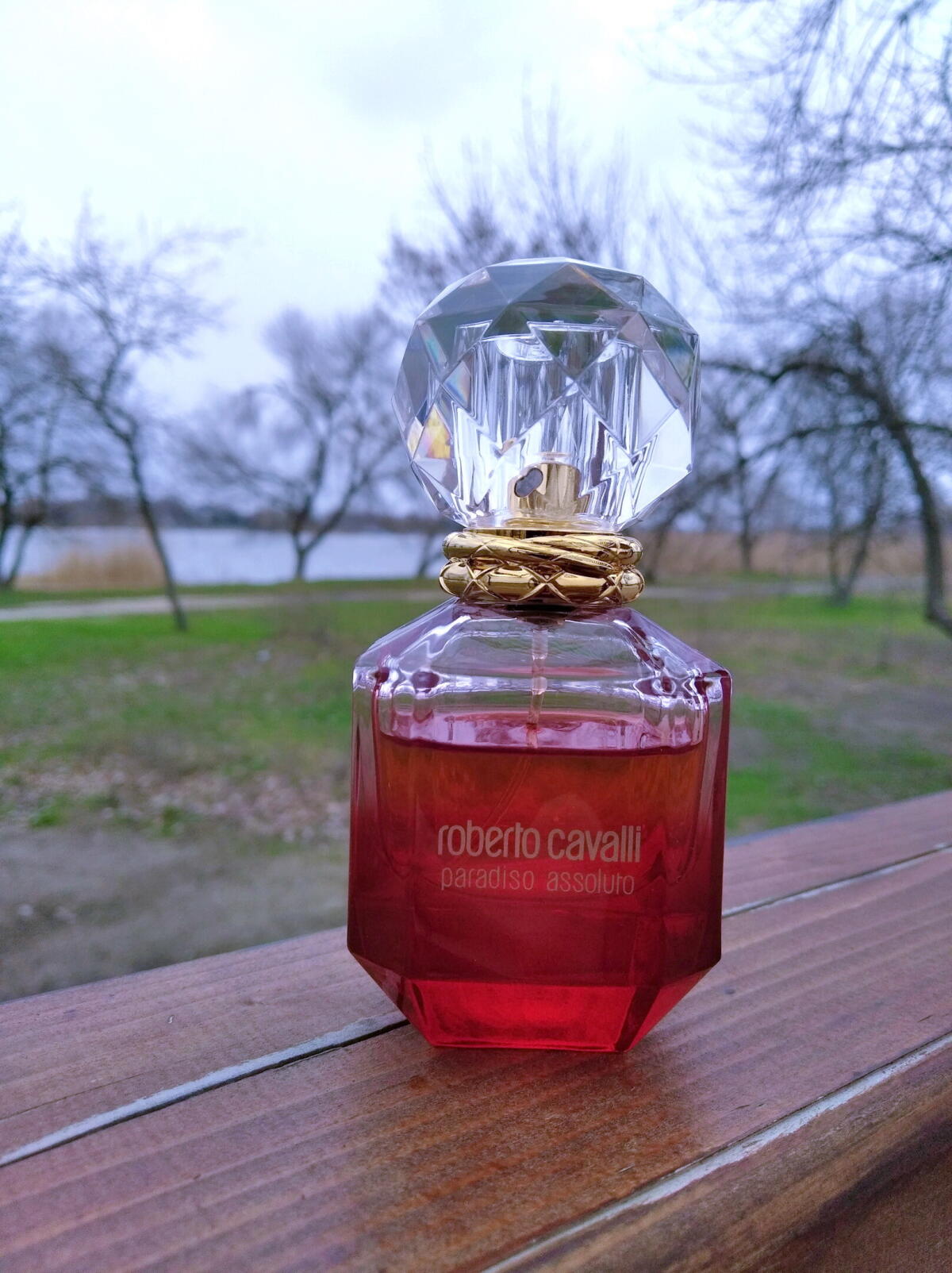 عطر ادکلن پردیزو اسولوتو روبرتو کاوالی - Paradiso Assoluto Roberto Cavalli - بررسی، قیمت و خرید