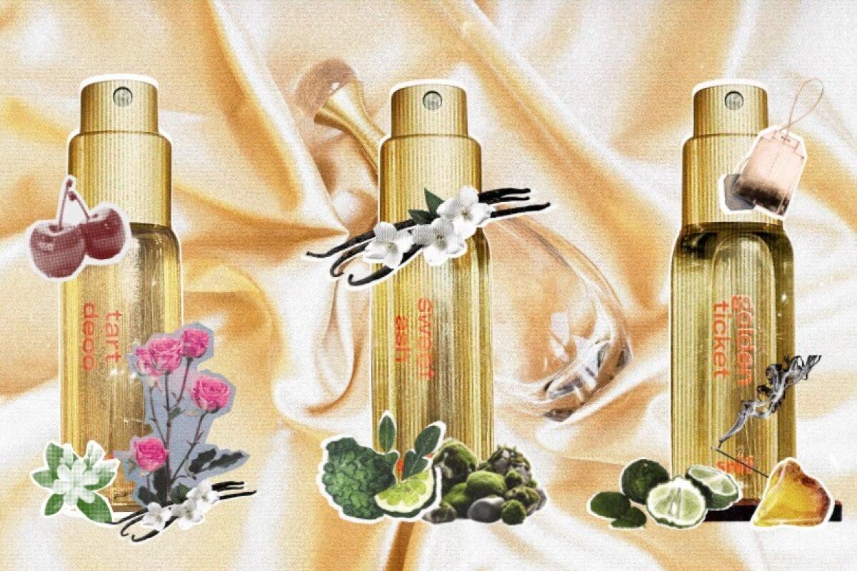 عطر ادکلن گلدن تیکت سنف - Golden Ticket Snif - بررسی، قیمت و خرید