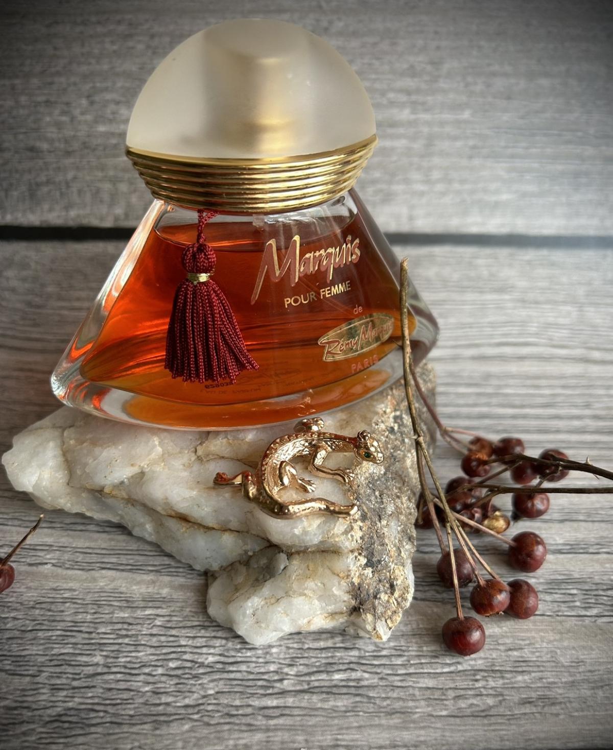 عطر ادکلن مارکی رمی مارکوی - Marquis Remy Marquis - بررسی، قیمت و خرید
