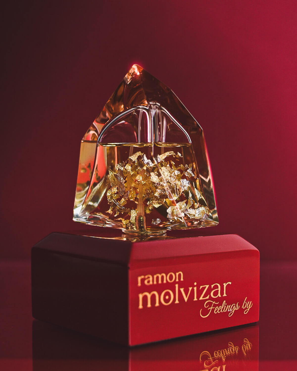 عطر ادکلن فیلینگز رامون مولویزَر - Feelings Ramon Molvizar - بررسی، قیمت و خرید