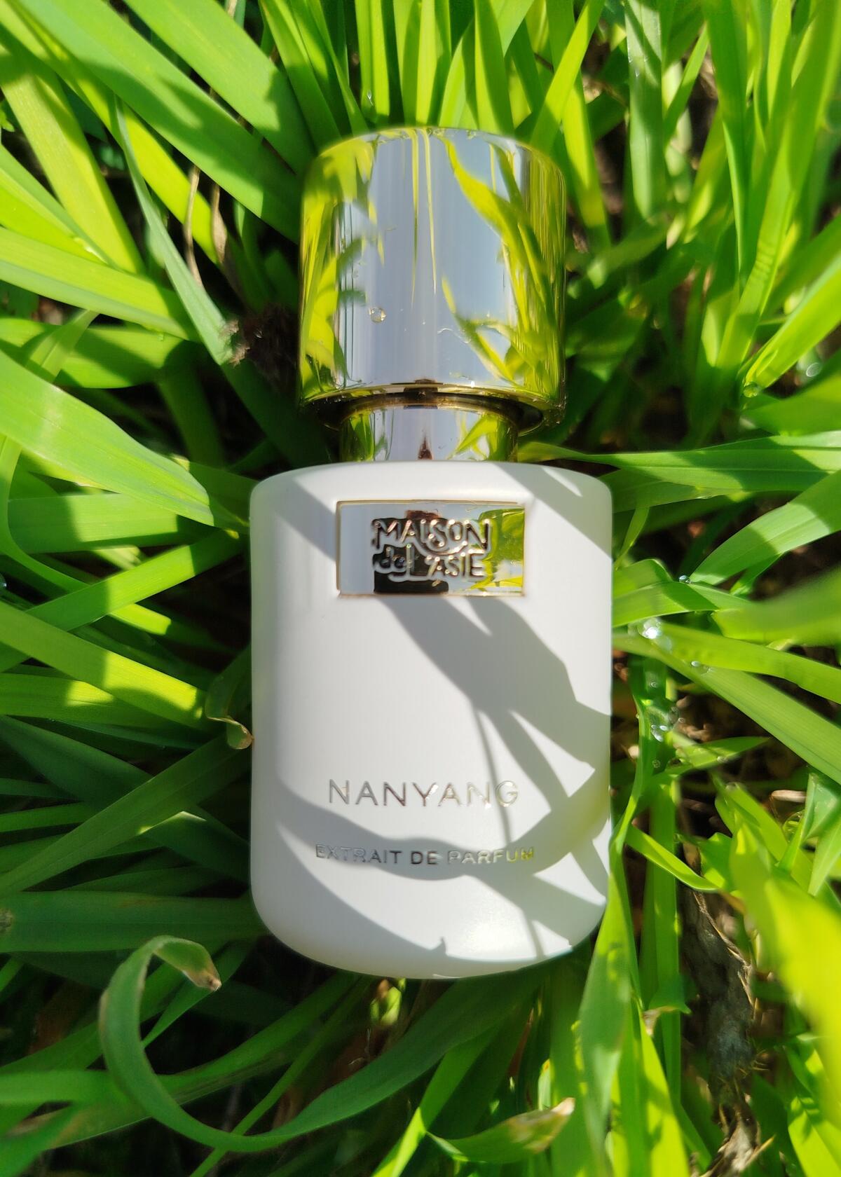 عطر ادکلن نان یانگ مزون دِ لازی - Nanyang Maison de L'Asie - بررسی، قیمت و خرید