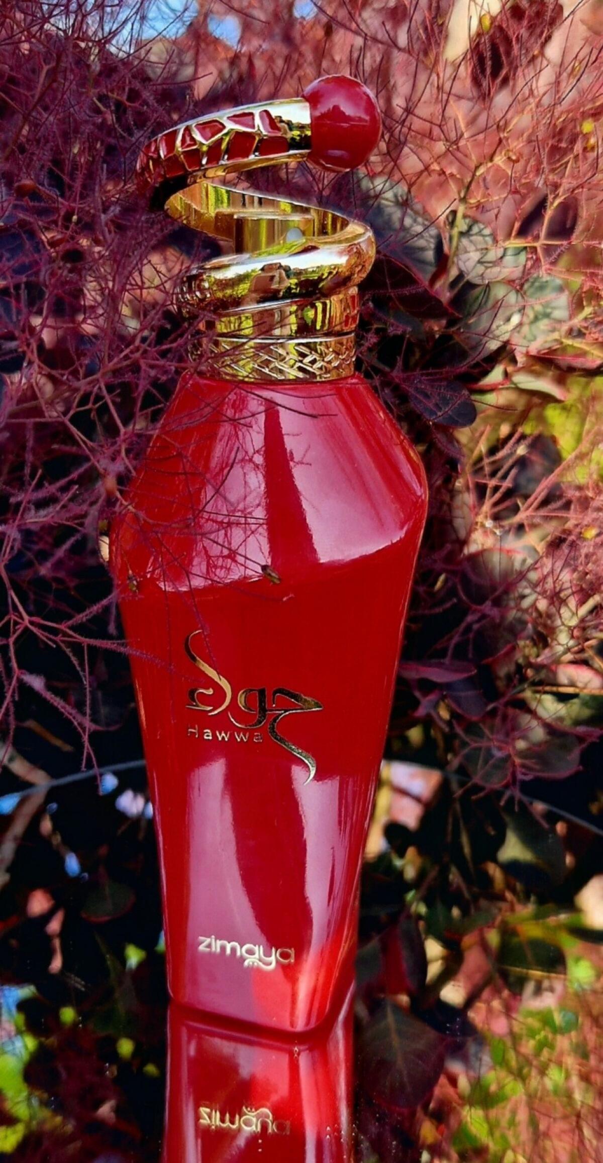 عطر ادکلن هاوا رد زیما - Hawwa Red Zimaya - بررسی، قیمت و خرید