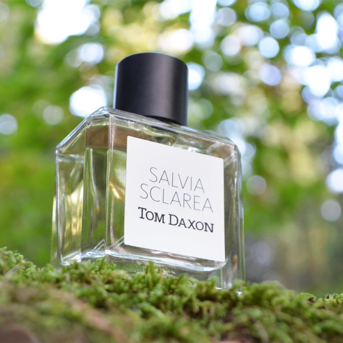 عطر ادکلن سالویا اسکالاریا تنداکسون - Salvia Sclarea Tom Daxon - بررسی، قیمت و خرید