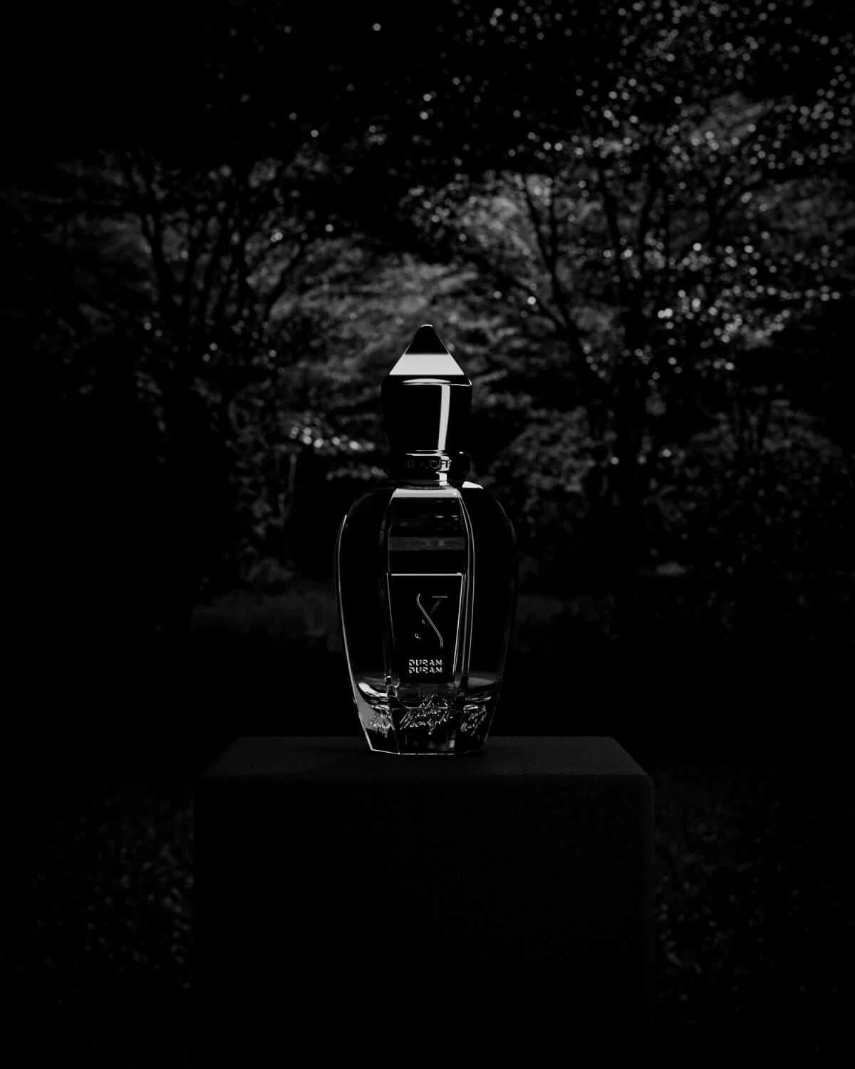 عطر ادکلن دوران دوران بلک مونلایت زرژوف - Duran Duran Black Moonlight Xerjoff - بررسی، قیمت و خرید
