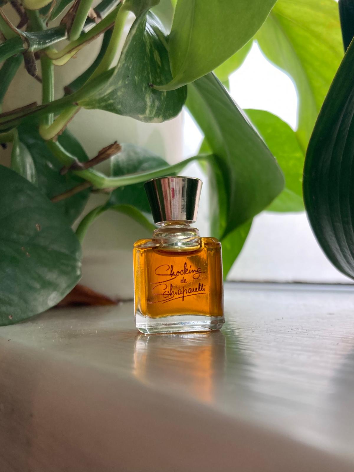 عطر ادکلن شاکینگ سکیپارلی - Shocking Schiaparelli - بررسی، قیمت و خرید