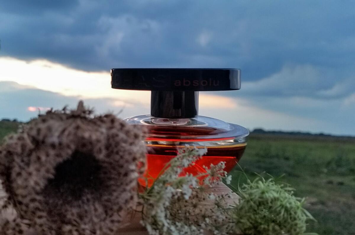 عطر ادکلن ابسولو روشاس - Absolu Rochas - بررسی، قیمت و خرید