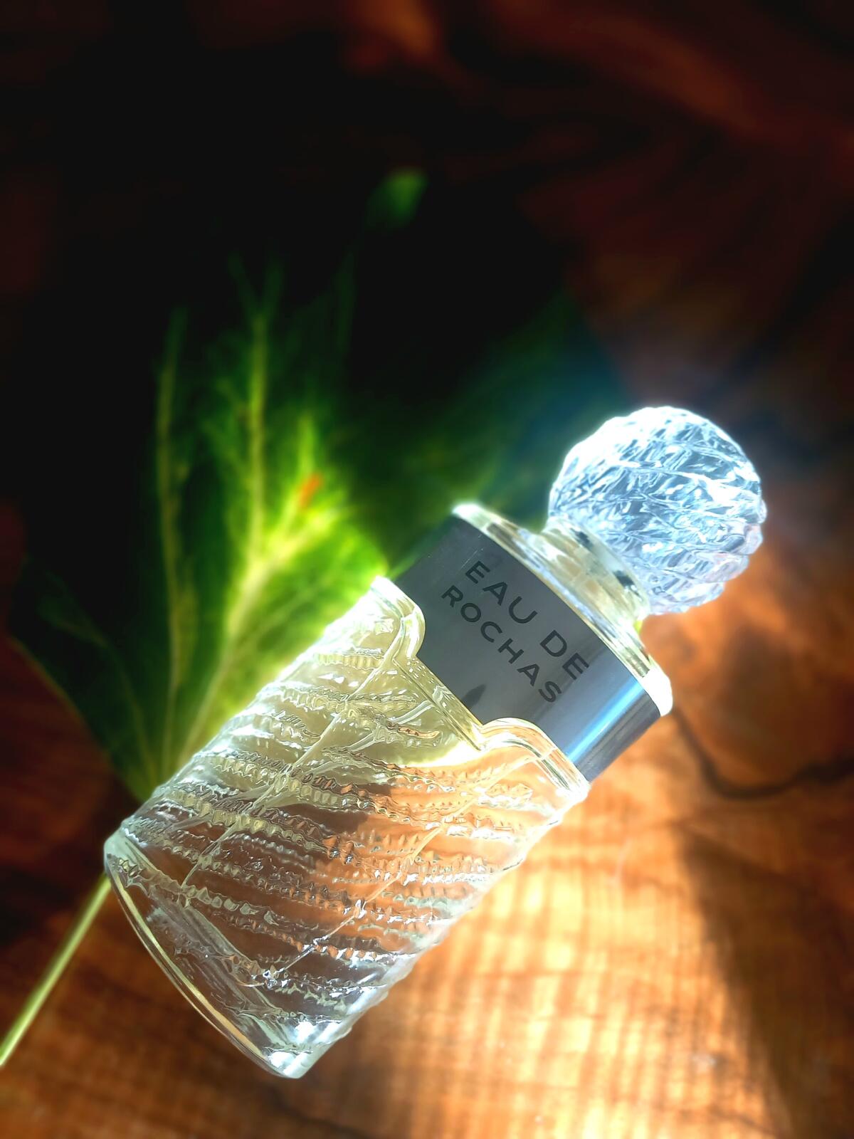 عطر ادکلن ا د رُشا روچاس - Eau de Rochas Rochas - بررسی، قیمت و خرید