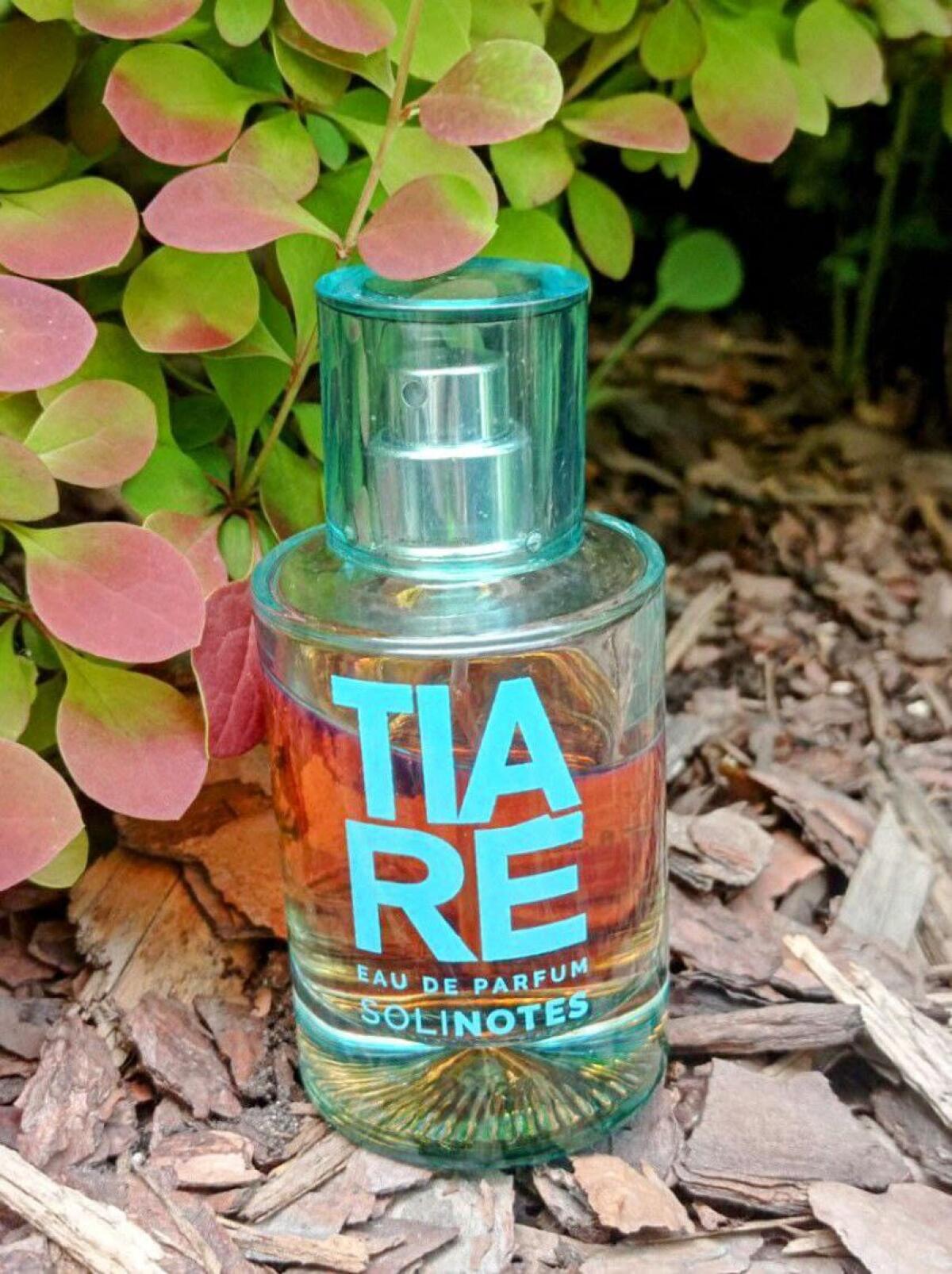 عطر ادکلن تیاره سولینوتس - Tiare Solinotes - بررسی، قیمت و خرید