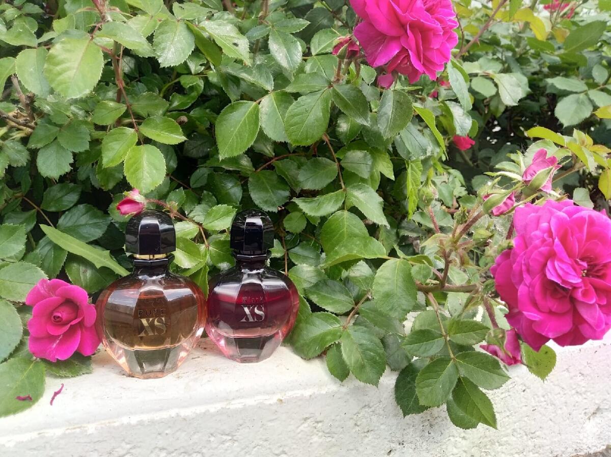 عطر ادکلن بلک ایکس اس فور هر ادو پرفیوم رَبَنه - Black XS for Her Eau de Parfum Rabanne - بررسی، قیمت و خرید