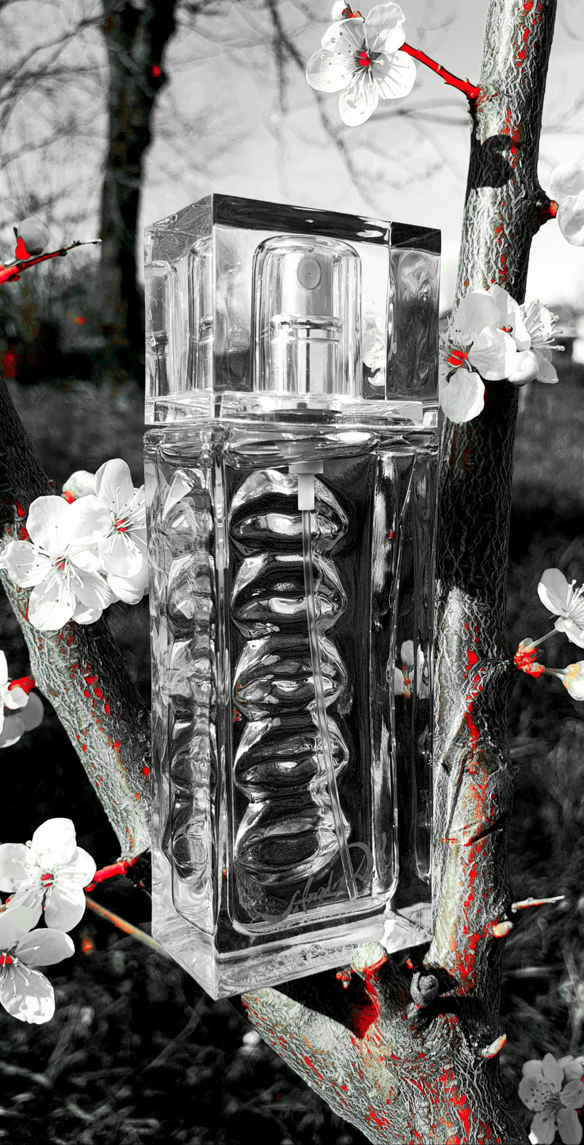 عطر ادکلن اُ دو روبی لیپس سالوادور دالی - Eau de RubyLips Salvador Dali - بررسی، قیمت و خرید