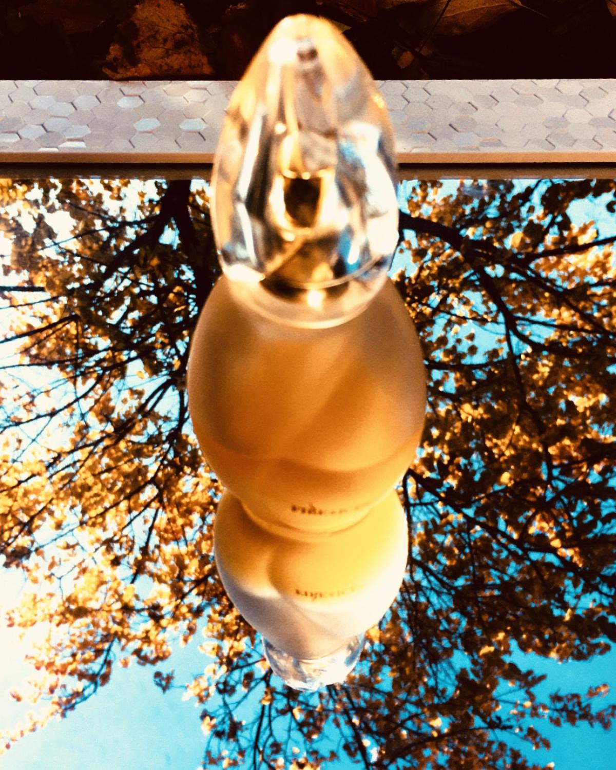 عطر ادکلن فایر اند آیس رولون - Fire & Ice Revlon - بررسی، قیمت و خرید