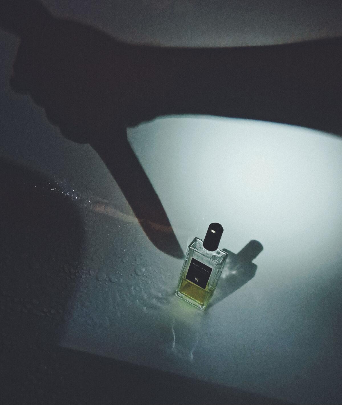 عطر ادکلن دایم بلوند سرژ لوتنز - Daim Blond Serge Lutens - بررسی، قیمت و خرید