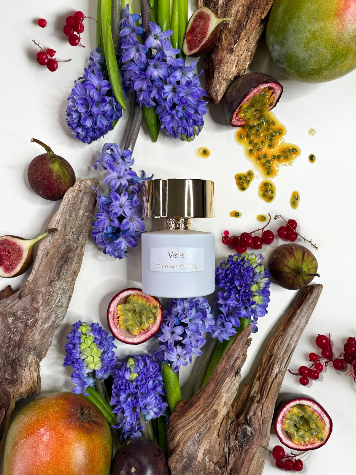 عطر ادکلن وله تیزیانا ترنزی - Vele Tiziana Terenzi - بررسی، قیمت و خرید