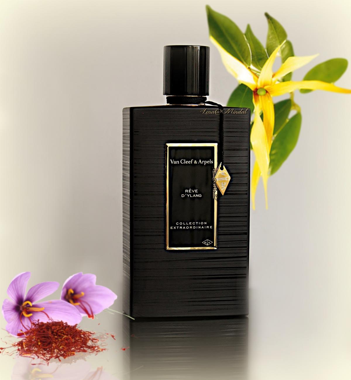 عطر ادکلن رو دیلانگ ون کلیف اند آرپلز - Rêve D'Ylang Van Cleef & Arpels - بررسی، قیمت و خرید