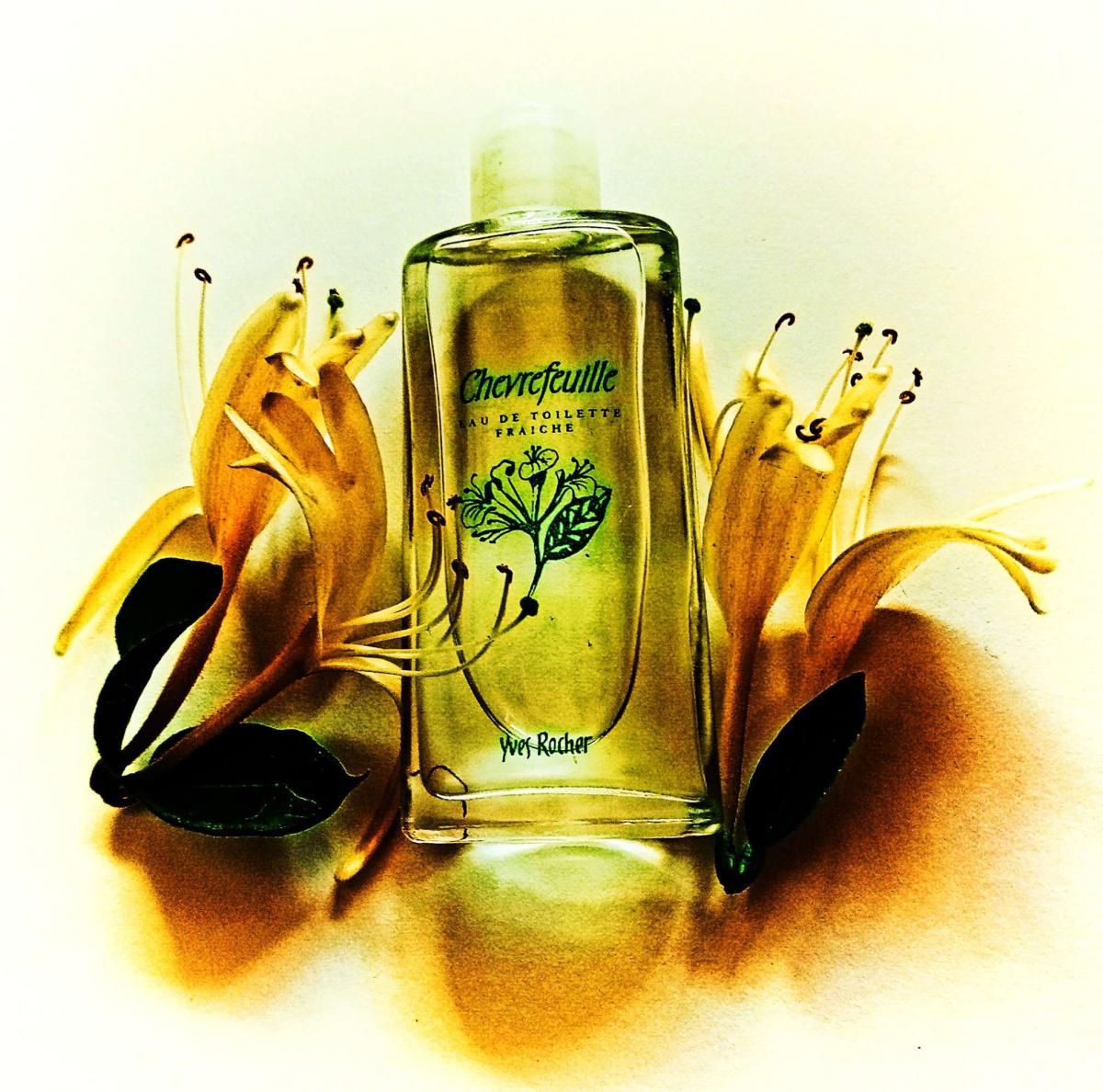 عطر ادکلن شوِرفویل ایوز روشه - Chevrefeuille Yves Rocher - بررسی، قیمت و خرید