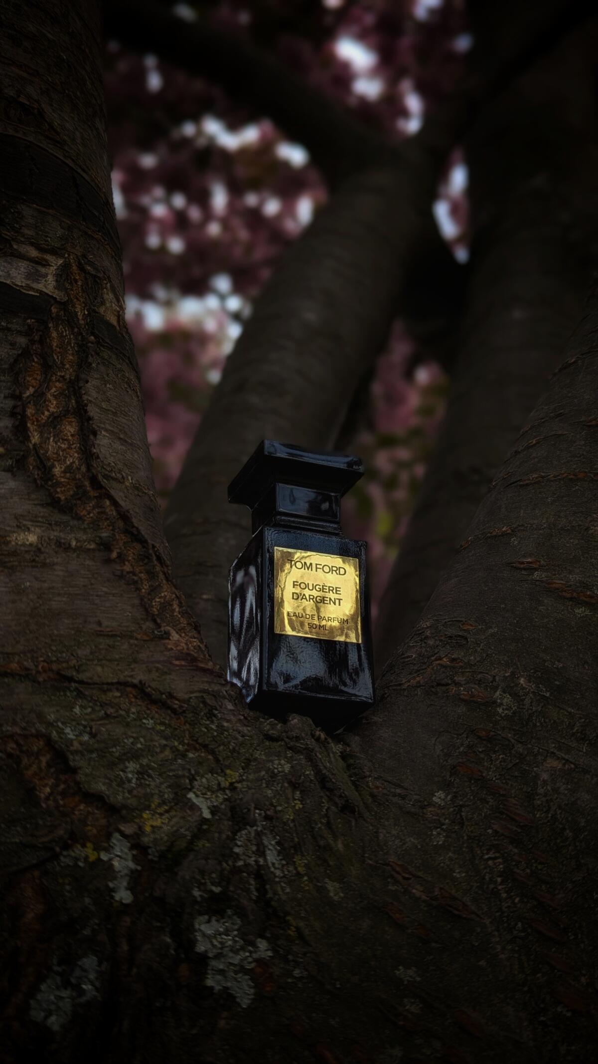 عطر ادکلن فوزی د آرژانت تام فورد - Fougère d’Argent Tom Ford - بررسی، قیمت و خرید
