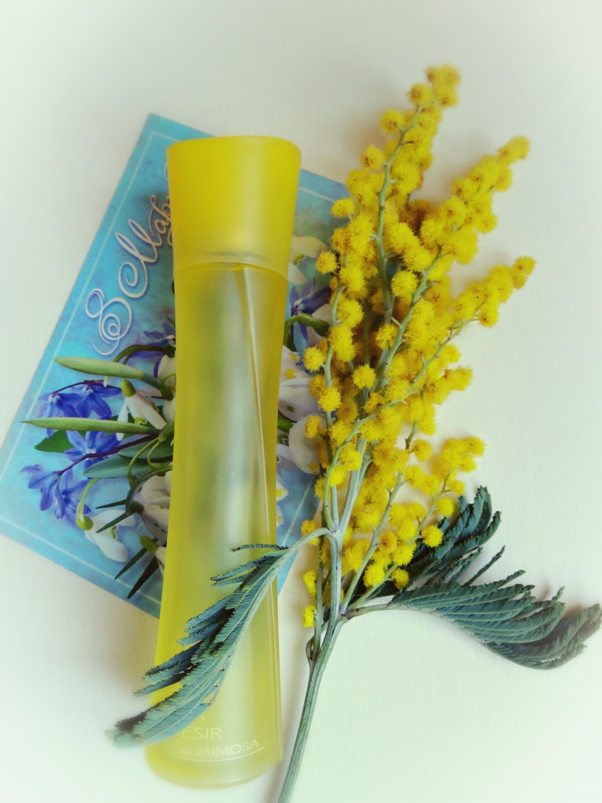 عطر ادکلن پور دزیر دو میموسا ایوروشه - Pur Desir de Mimosa Yves Rocher - بررسی، قیمت و خرید