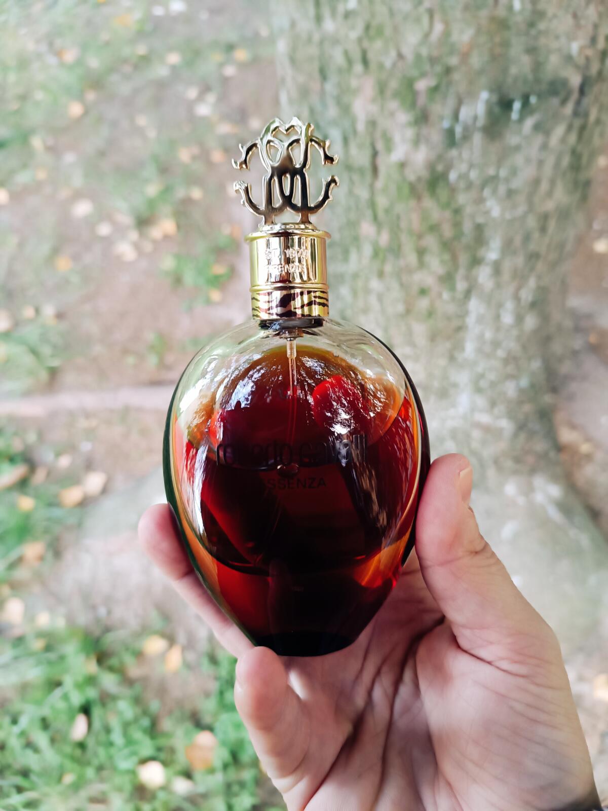 عطر ادکلن روبرتو کاوالی اسانزا روبرتو کاوالی - Roberto Cavalli Essenza Roberto Cavalli - بررسی، قیمت و خرید