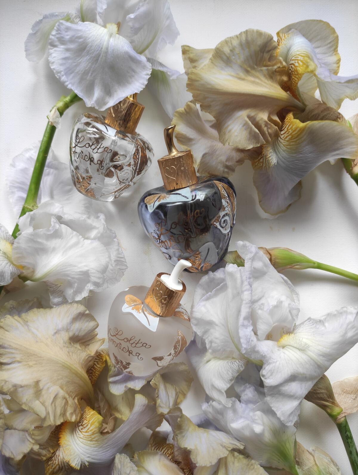 عطر ادکلن لولیتا لمپیکا لو آن بلان لولیتا لمپیکا - Lolita Lempicka L'Eau en Blanc Lolita Lempicka - بررسی، قیمت و خرید