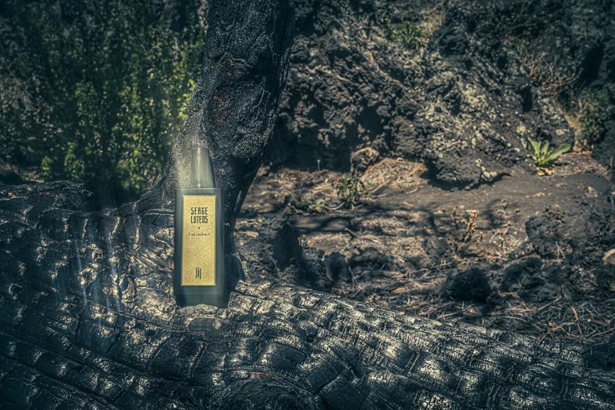 عطر ادکلن لنسندیِر سرژ لوتنز - L'incendiaire Serge Lutens - بررسی، قیمت و خرید