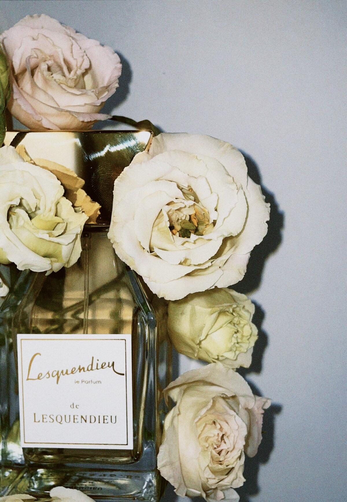 عطر ادکلن عودمار منسفیلد - Oudamar Mansfield - بررسی، قیمت و خرید