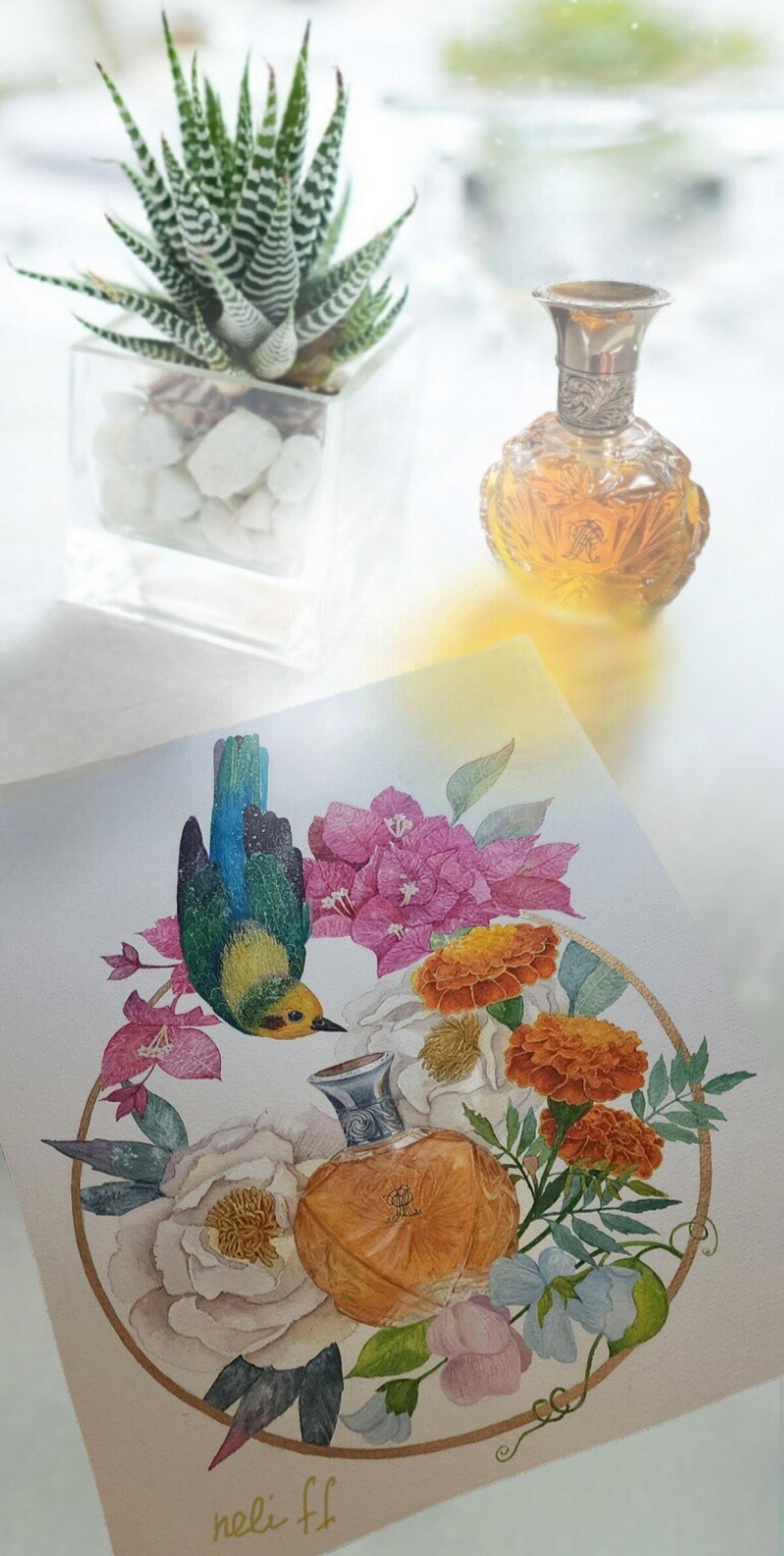 عطر ادکلن سافاری رالف لورن - Safari Ralph Lauren - بررسی، قیمت و خرید