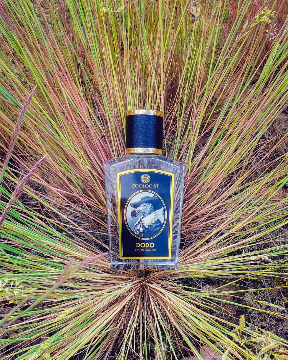 عطر ادکلن دودو زئولوژیست پرفیومز - Dodo Zoologist Perfumes - بررسی، قیمت و خرید