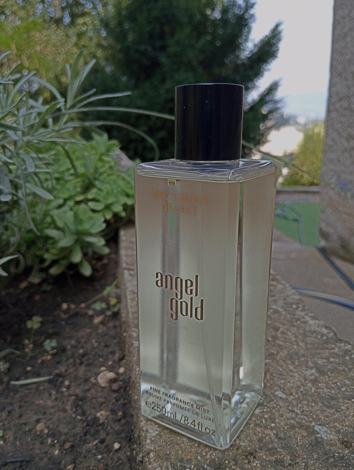 عطر ادکلن انجل گلد ویکتوریا سکرت - Angel Gold Victoria's Secret - بررسی، قیمت و خرید